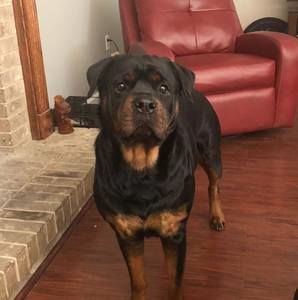 Meet your Posher, Keith